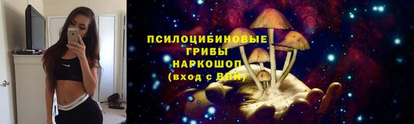 прущий лед Абаза