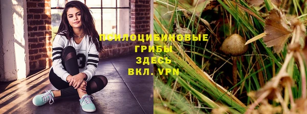 прущий лед Абаза