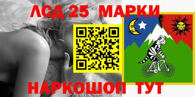 гашик Славгород
