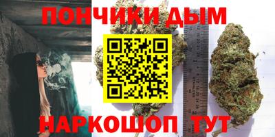 гашик Славгород