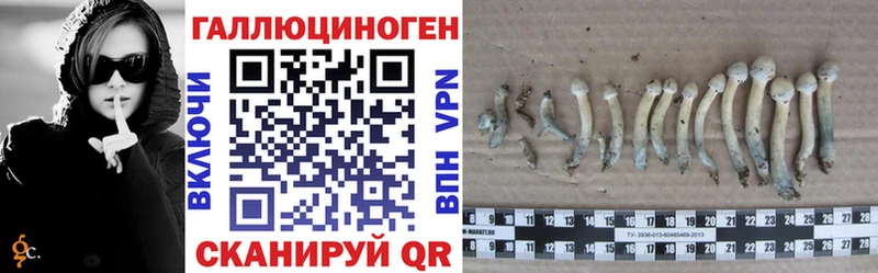 Галлюциногенные грибы GOLDEN TEACHER Тольятти