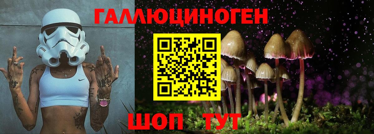 Псилоцибиновые грибы прущие грибы  Галлюциногенные грибы MAGIC MUSHROOMS  Вход с VPN  Тольятти 
